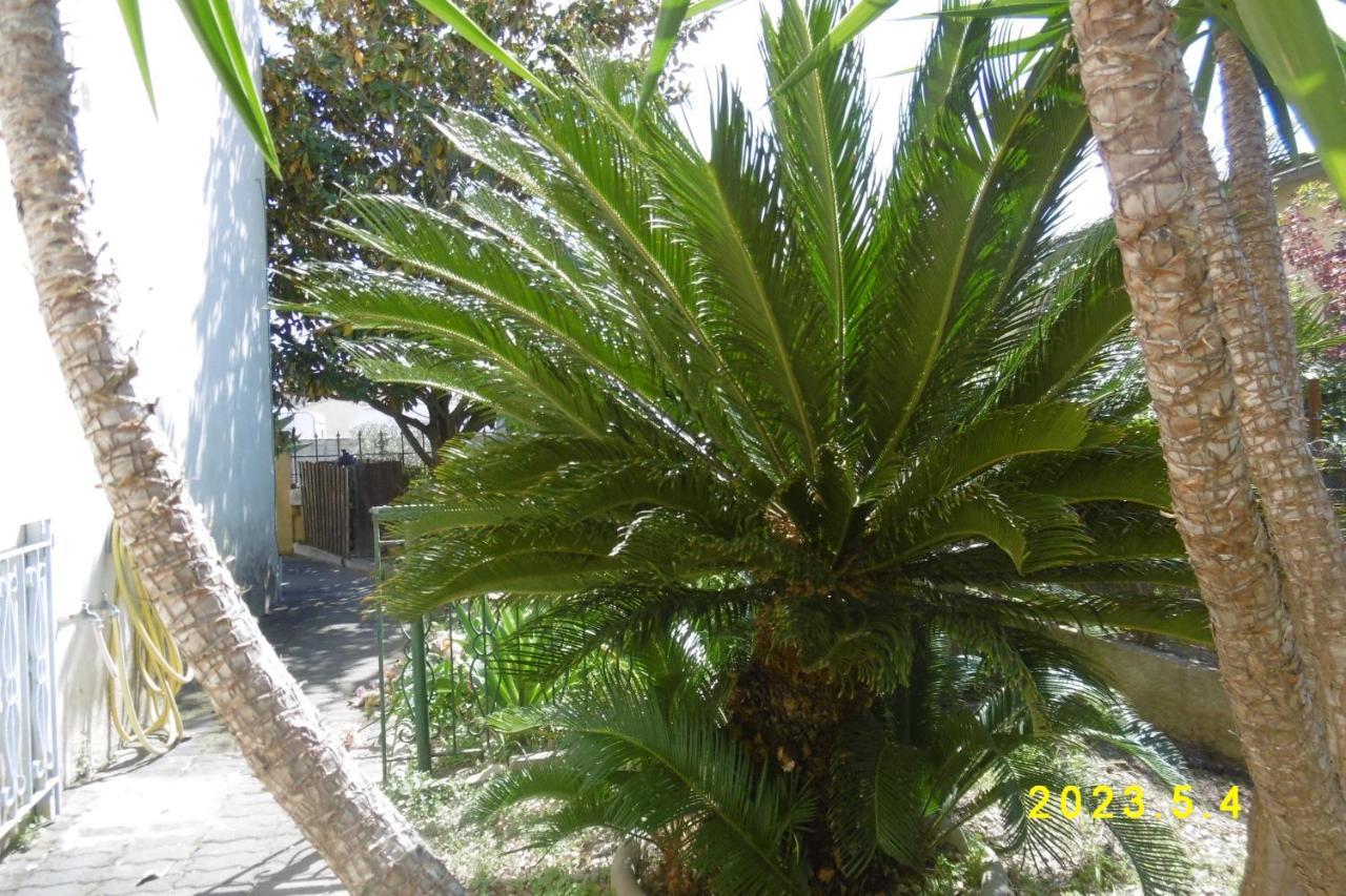 Apartment Rez De Chaussee Climatise Dans Aigues-Mortes