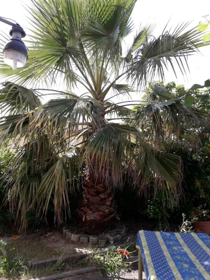 Rez De Chaussee Climatise Dans Apartment